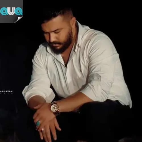 دلتنگی (ریمیکس)