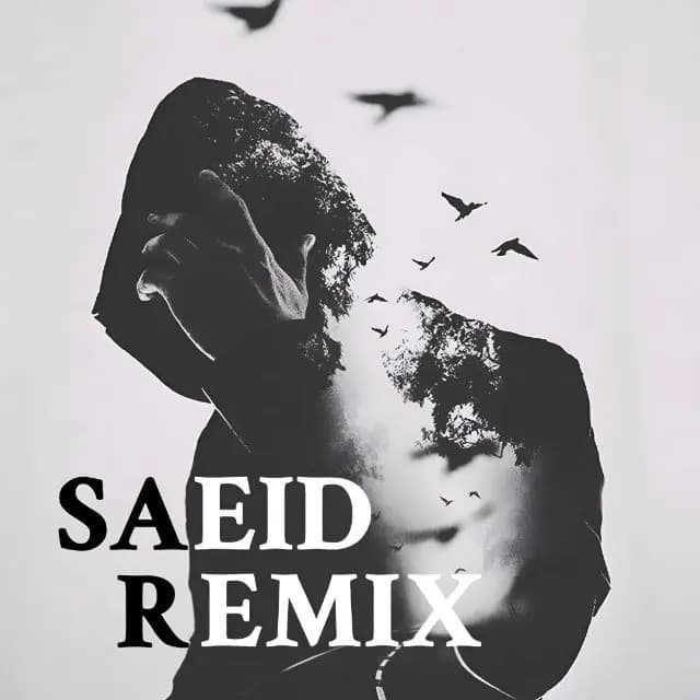 سعید ریمیکس